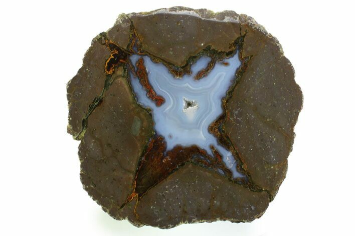 Colorful Polished Thunderegg Half - Nevada #337804